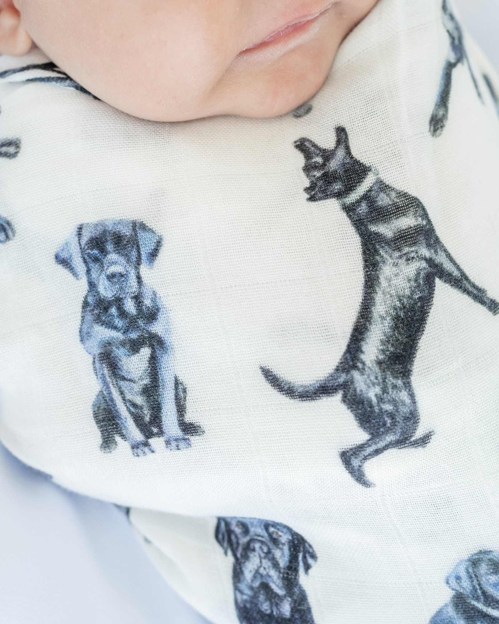 Black Labs print swaddle blanket for babies printed on soft white fabric, featuring a hand-painted Black Lab design on a soft organic cotton and bamboo swaddle, perfect for newborns