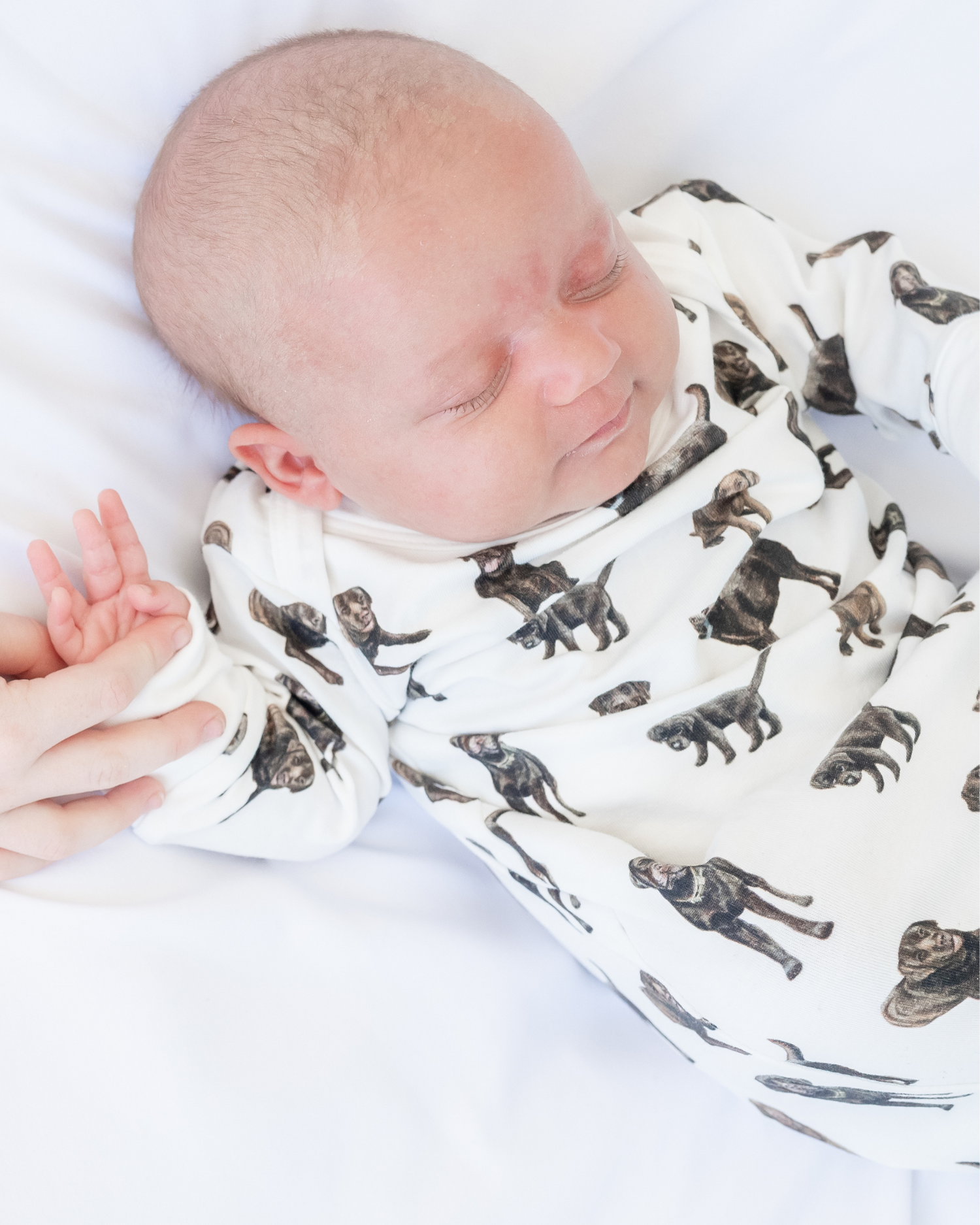 Newborn gown and hat set featuring a cute Chocolate Lab design