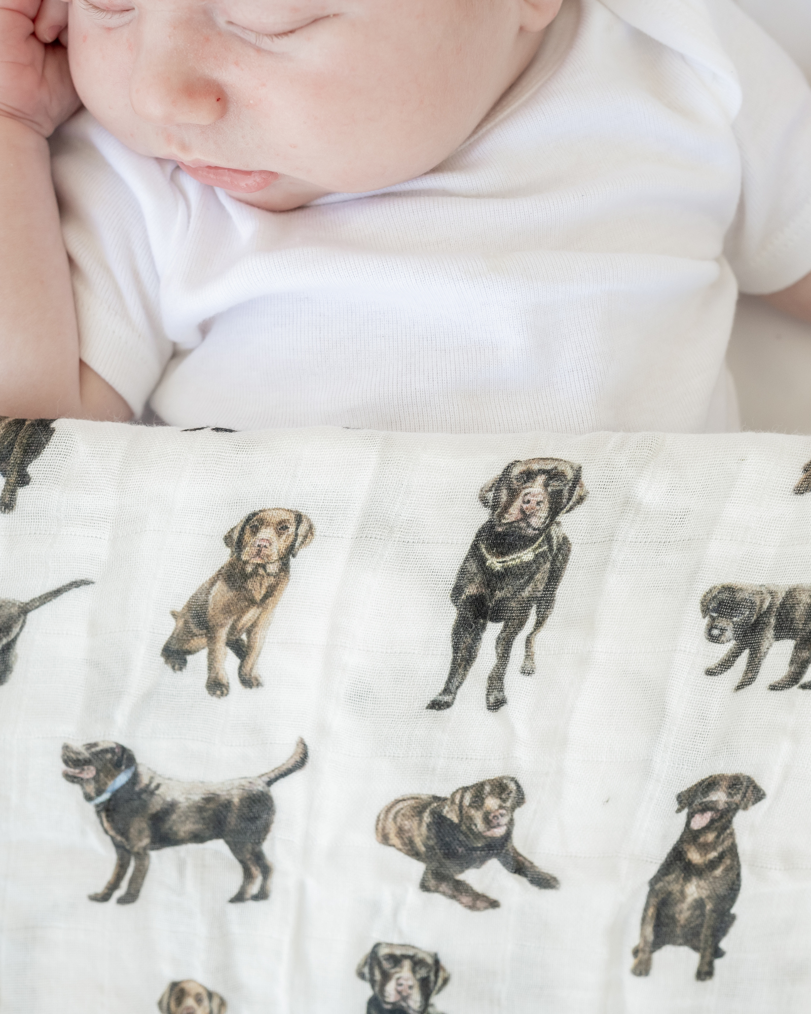 Hand-painted Chocolate Lab print baby swaddle on a soft bamboo and organic cotton fabric