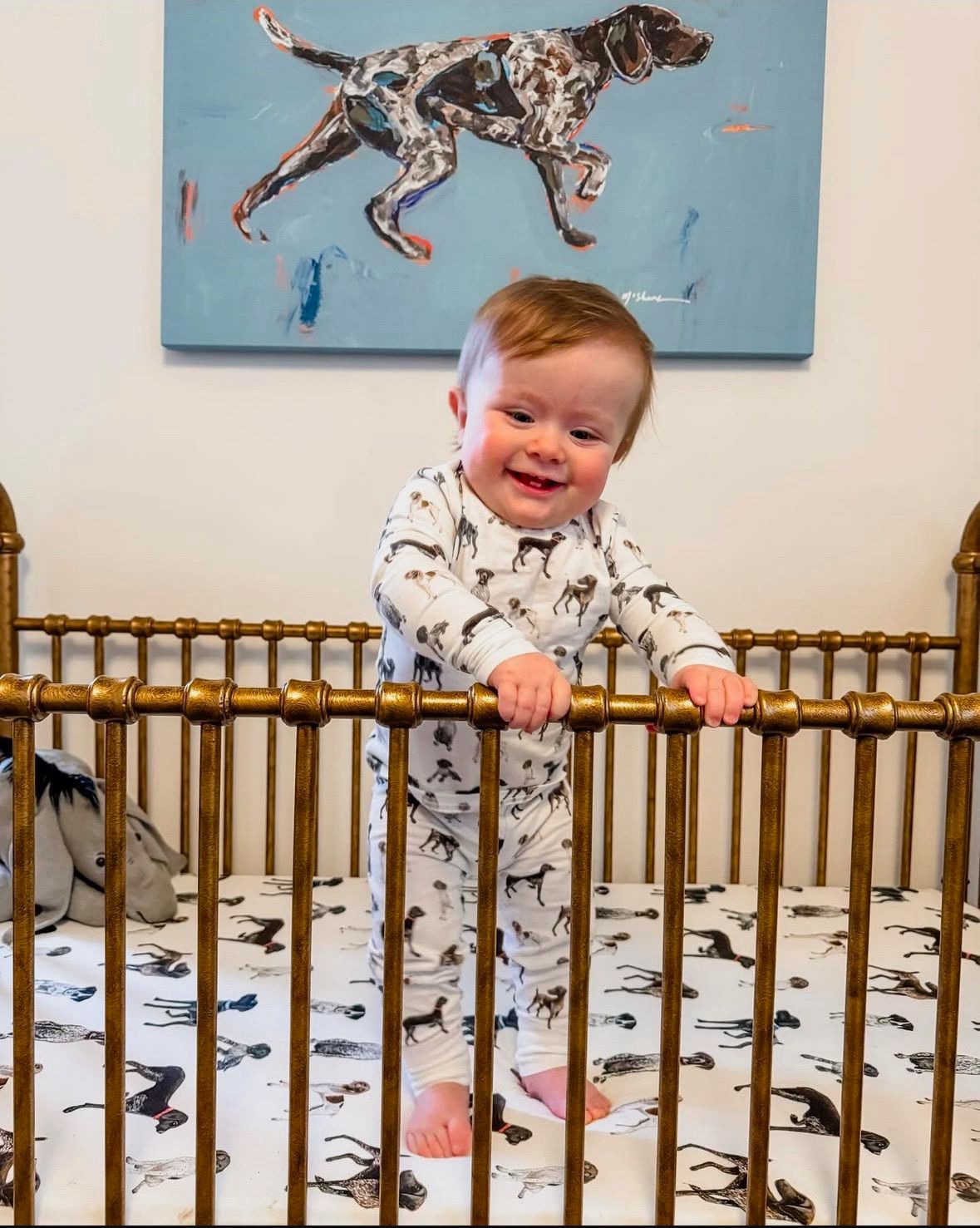 Child in a crib with a dog-themed, german shorthaired pointers pattern crib sheet, printed on soft white fabric. Perfect for german shorthaired pointers themed baby room.