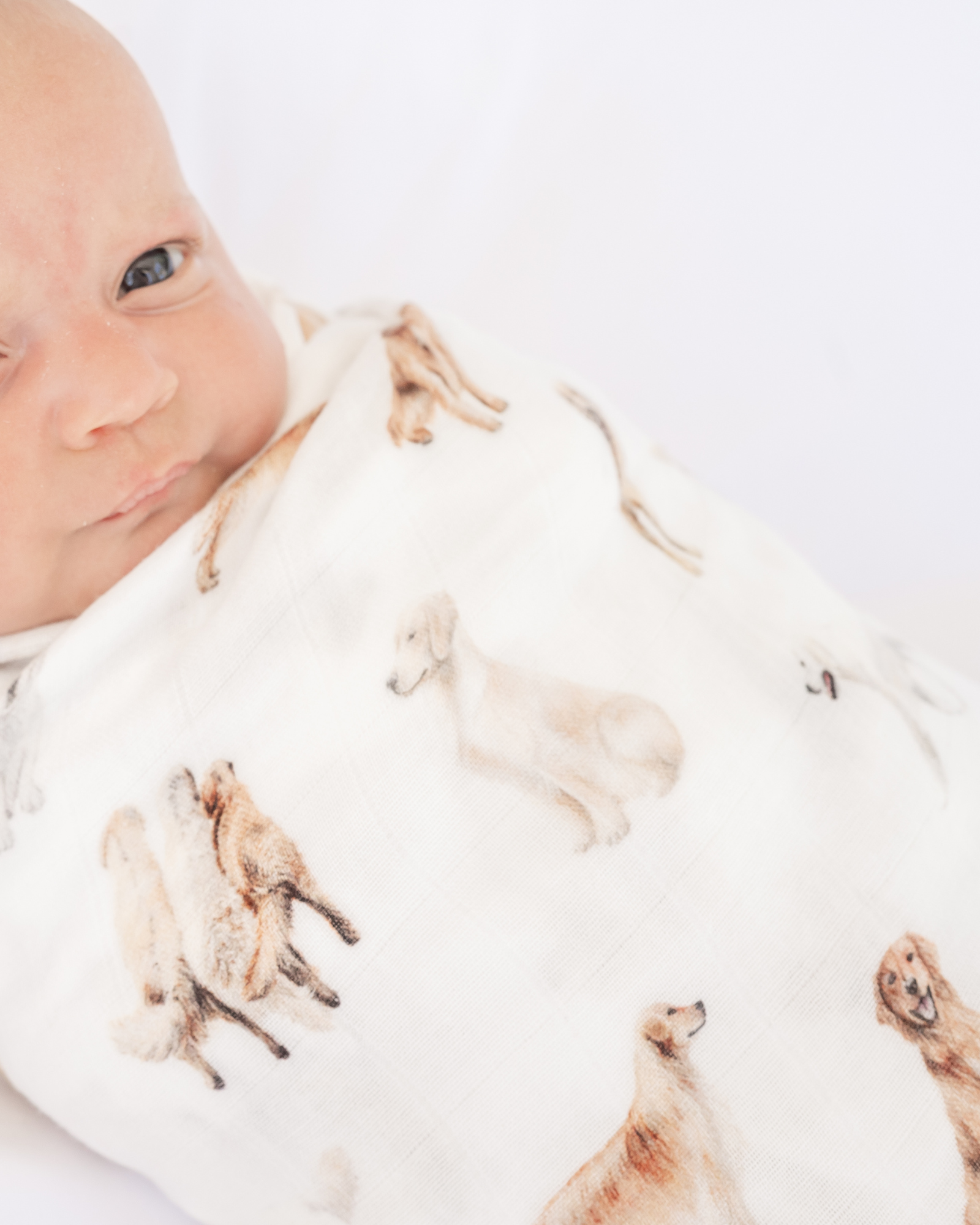 Golden Retriever print baby swaddle in organic cotton and bamboo blend