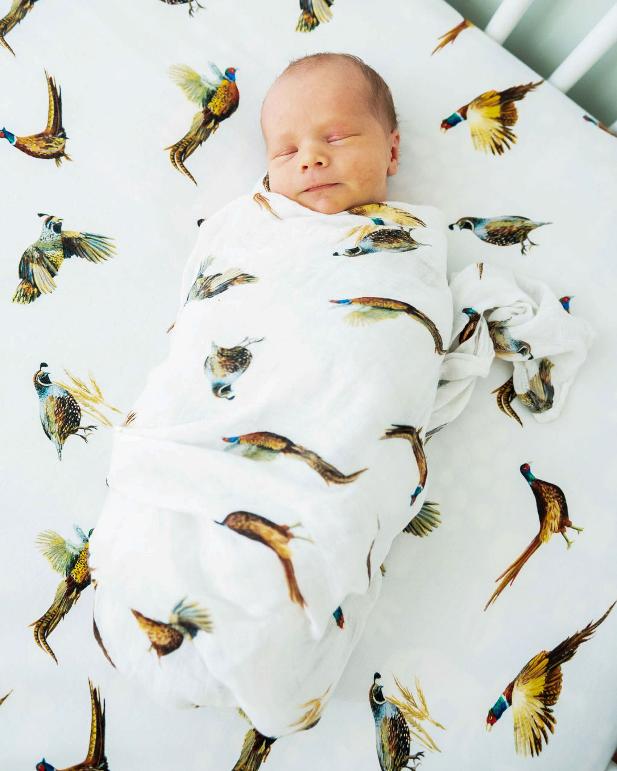 Pheasant and Quail Print Baby Swaddle – Vibrant nature-inspired design made from organic white cotton and bamboo, cozy and soft, shown wrapped around a sleeping baby.
