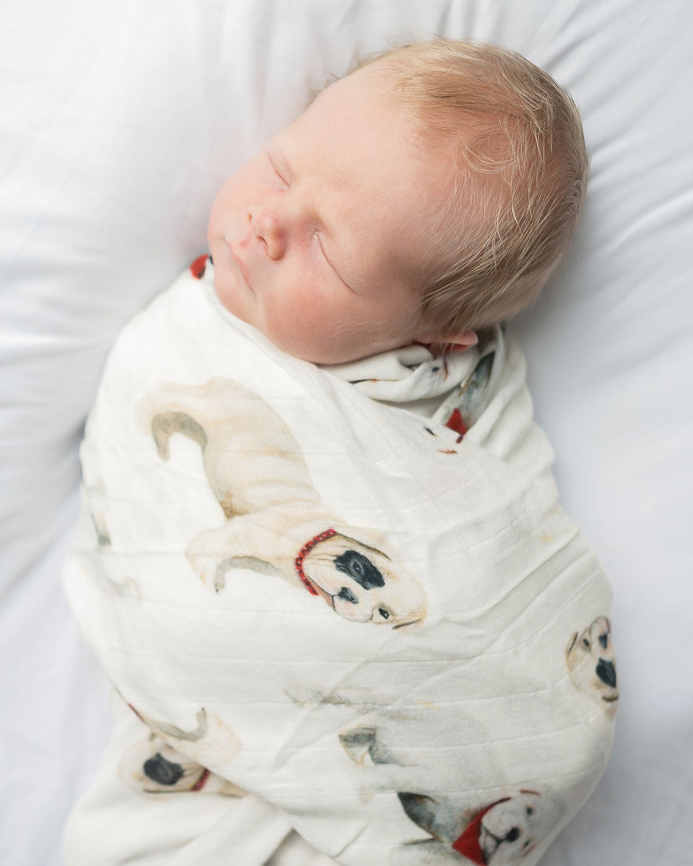 A newborn swaddled in a blanket with bulldog printed on soft white fabric. Perfect for bulldog lovers.