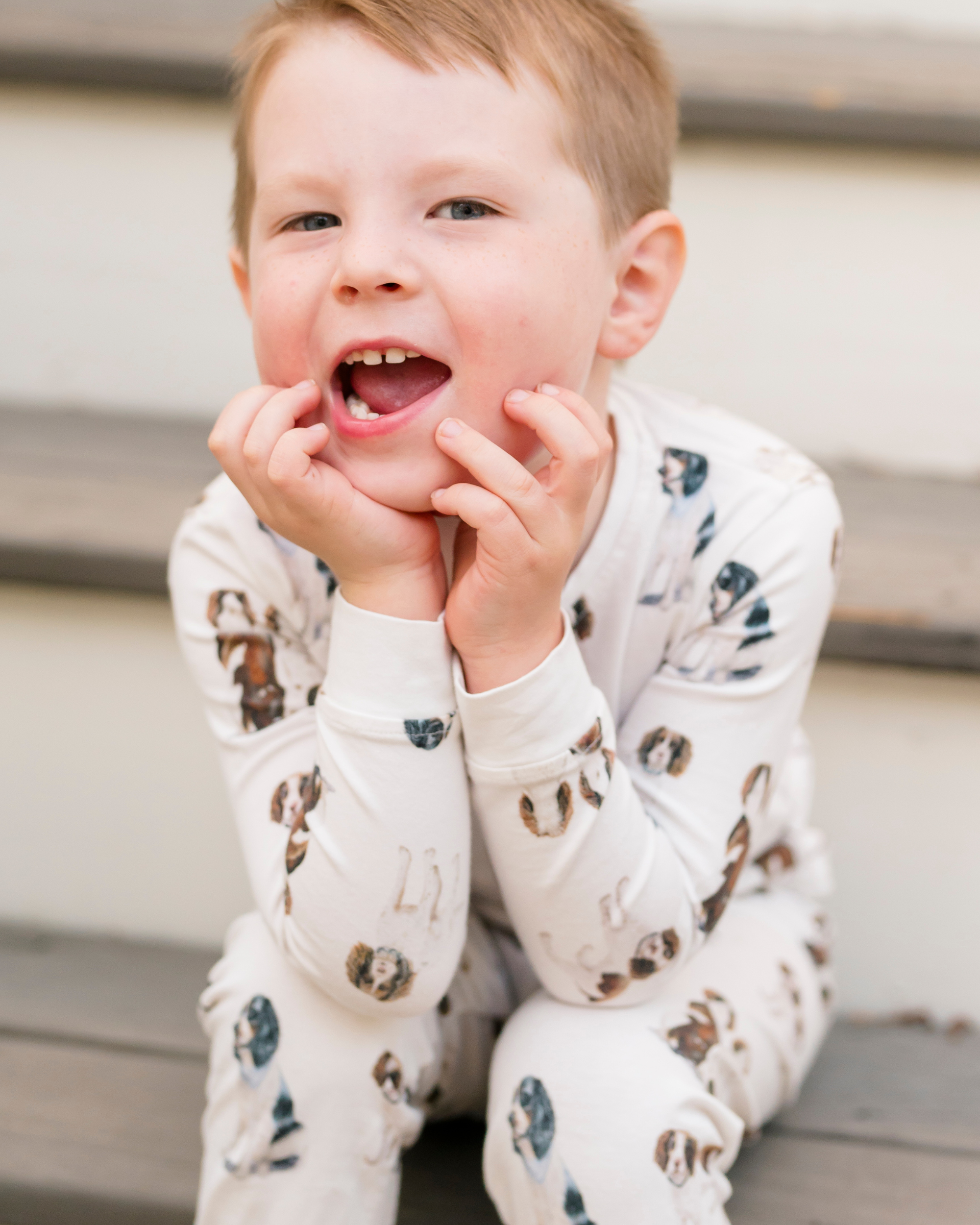 Springer Spaniel kids&