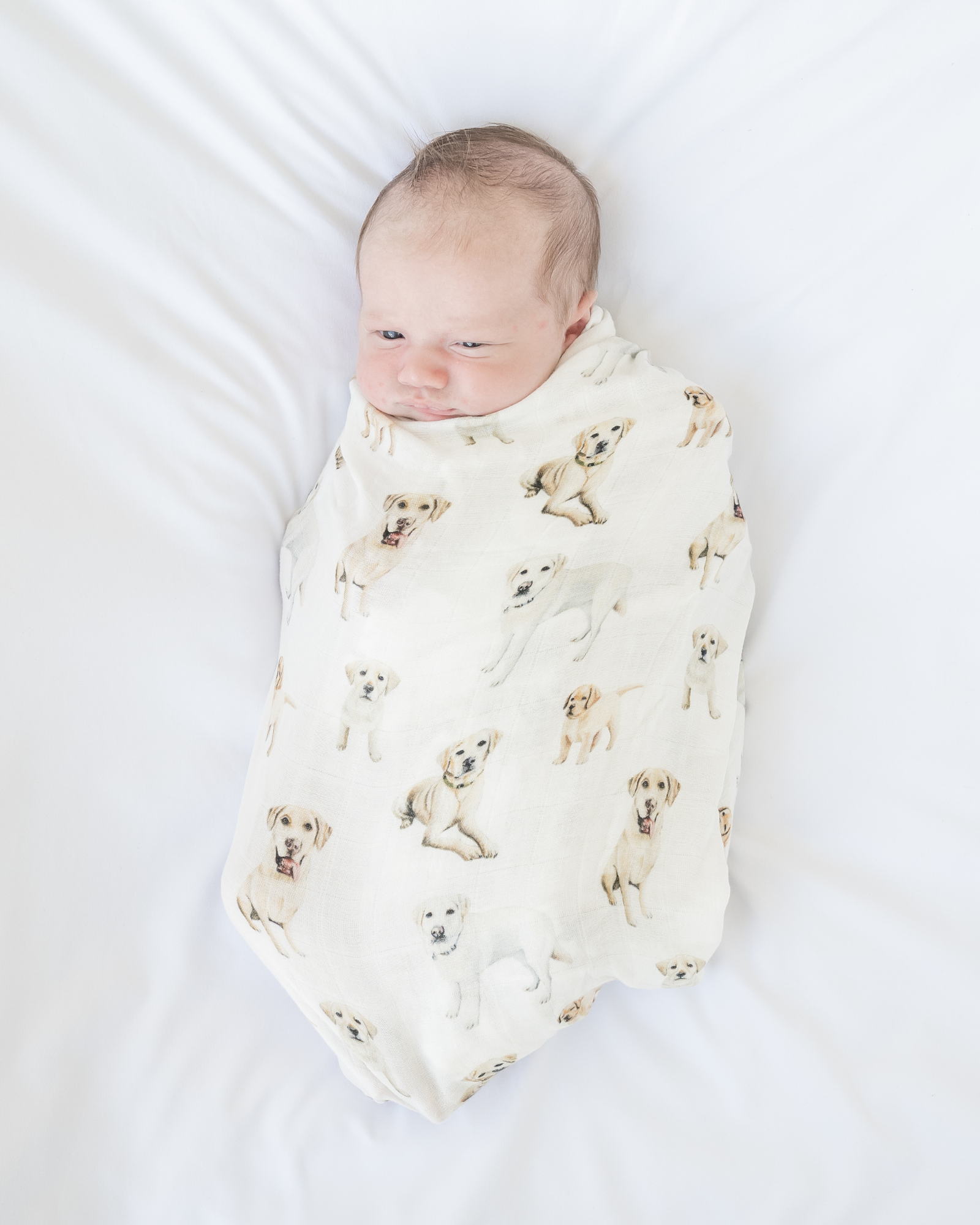 Yellow Labrador print baby swaddle soft and cozy nursery blanket