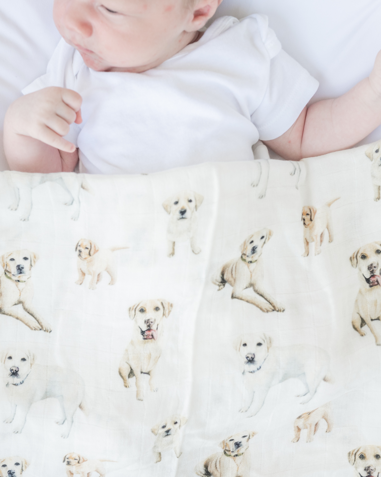 Yellow Labrador print baby swaddle soft and cozy nursery blanket