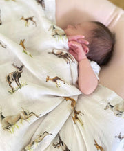 Load image into Gallery viewer, Little Fawn, Big Yawn - Swaddle