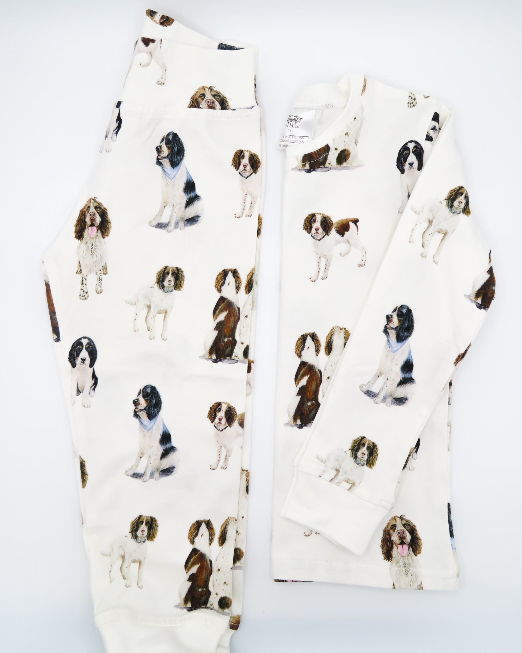 Springer Spaniel kids&