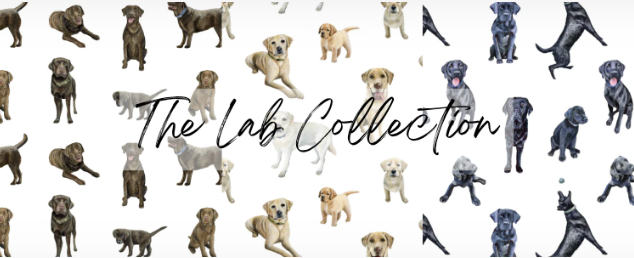 The Lab Collection