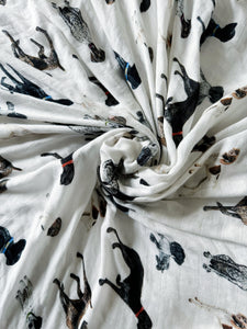 German Shorthaired Pointer: Swaddle