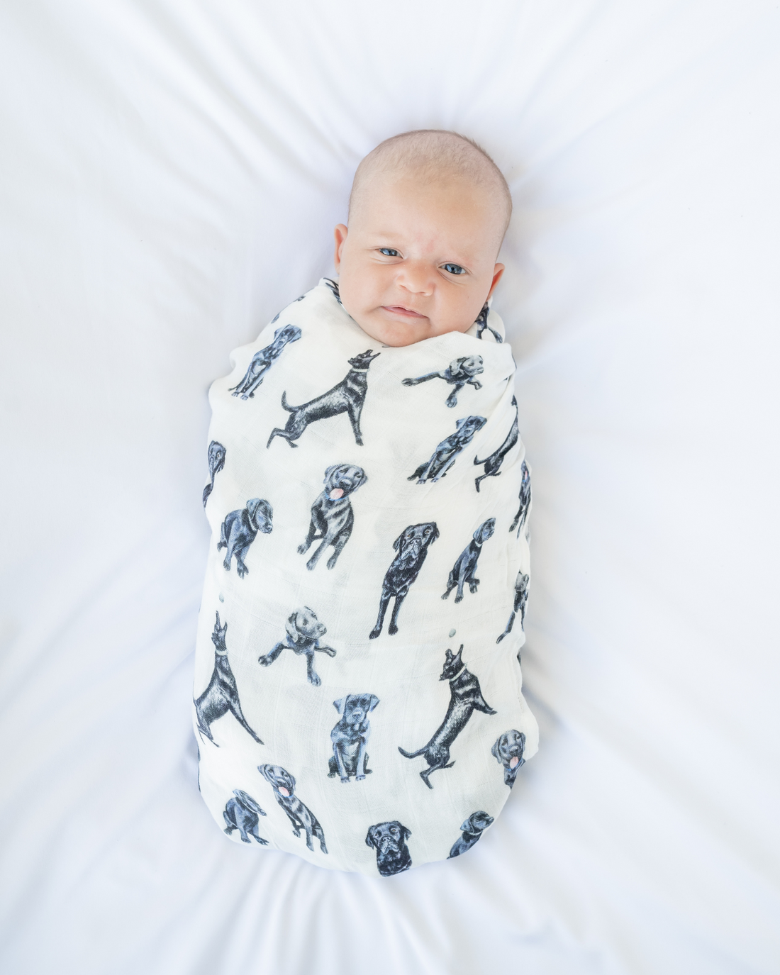 Black Labs print swaddle blanket for babies, featuring a hand-painted Black Lab design on a soft organic cotton and bamboo swaddle, perfect for newborns