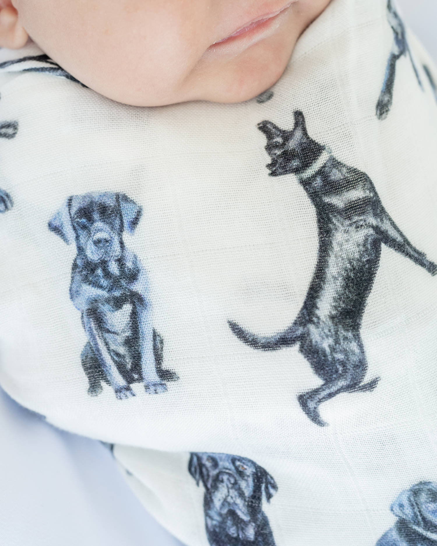 Black Labs print swaddle blanket for babies printed on soft white fabric, featuring a hand-painted Black Lab design on a soft organic cotton and bamboo swaddle, perfect for newborns