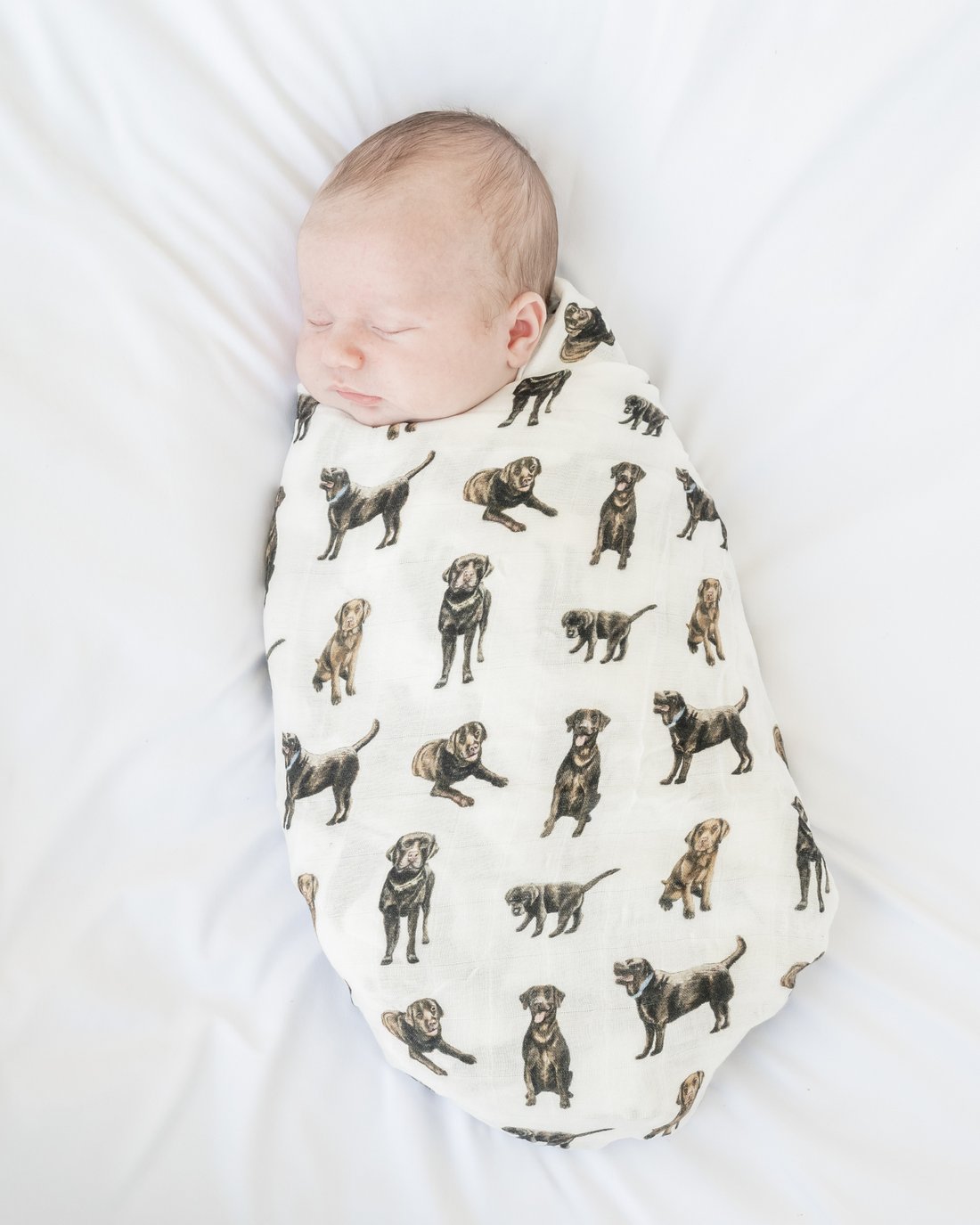 Hand-painted Chocolate Lab print baby swaddle on a soft bamboo and organic cotton fabric