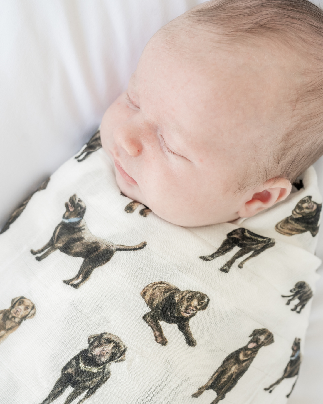 Hand-painted Chocolate Lab print baby swaddle on a soft bamboo and organic cotton fabric