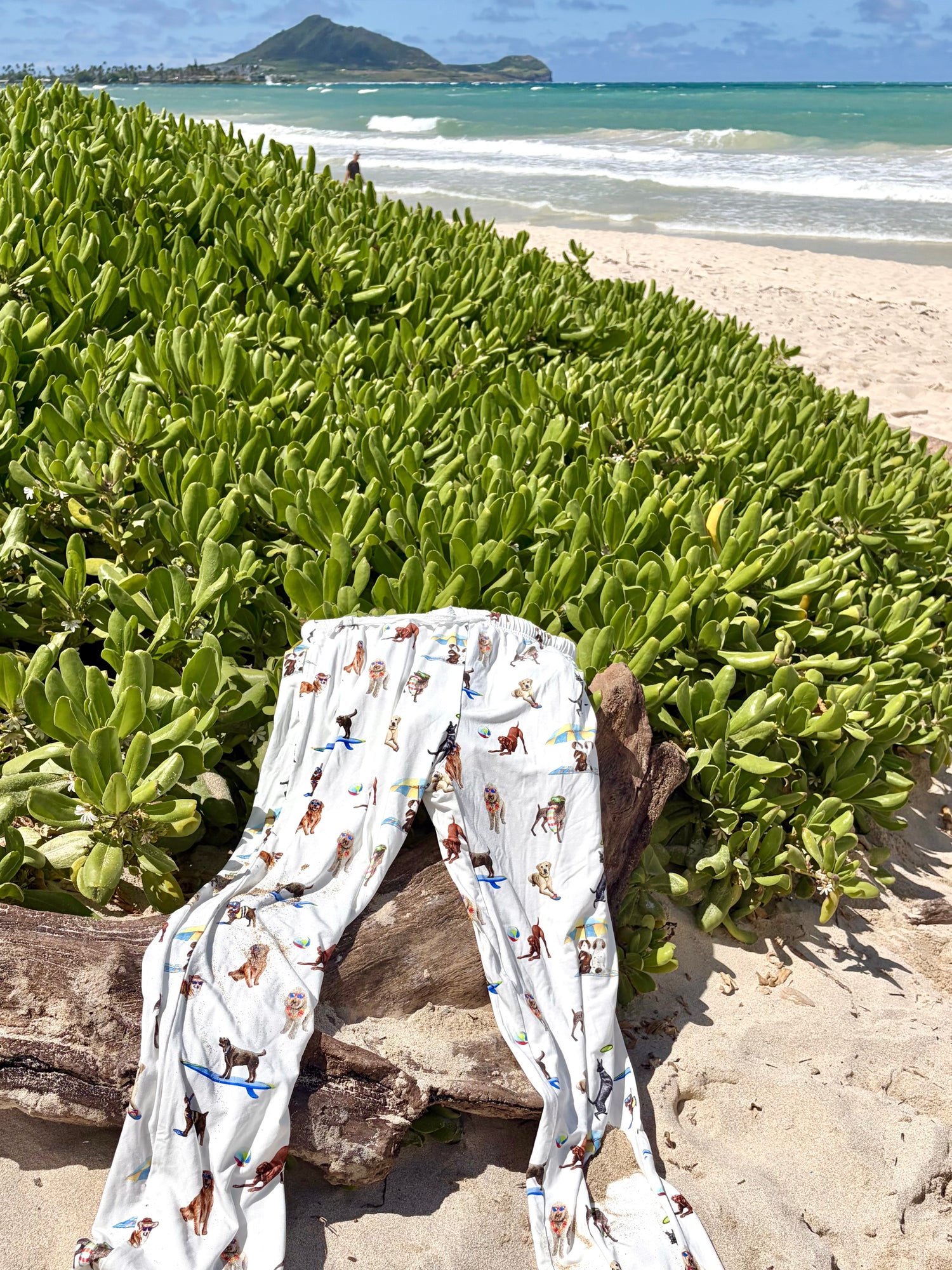 Dog Days of Summer adult pajama pants displayed on a tropical beach, draped over driftwood with ocean waves in the background.