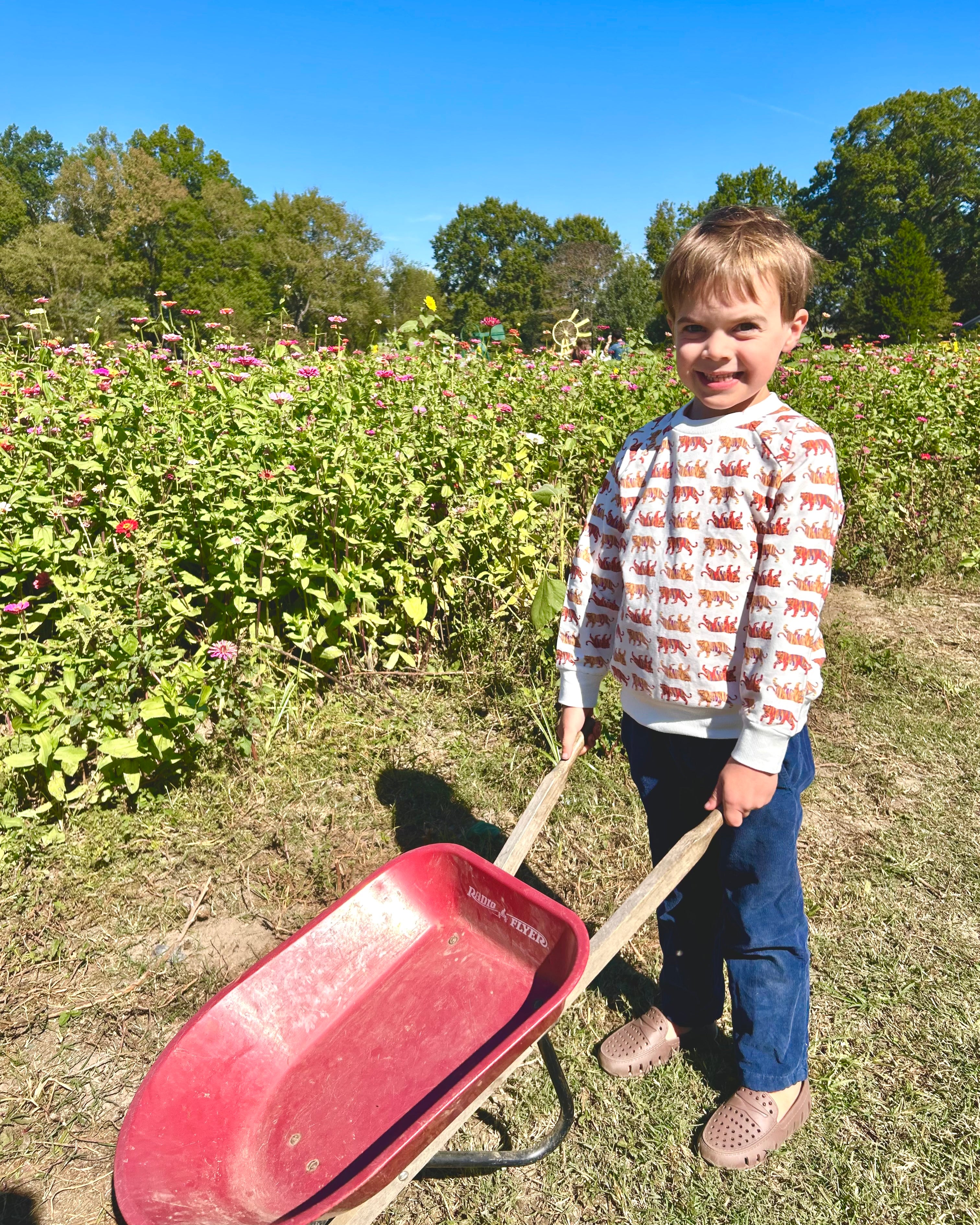 Easy Tiger print drop sleeve sweatshirt for kids in soft, comfy fabric
