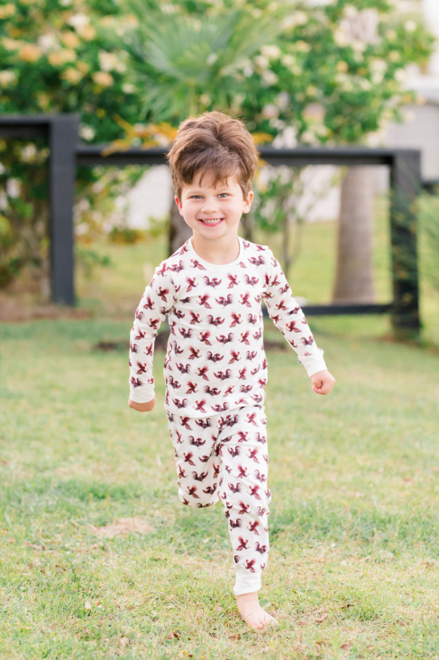 Kids pajamas featuring Gamecock print, ideal for football season and sleepovers