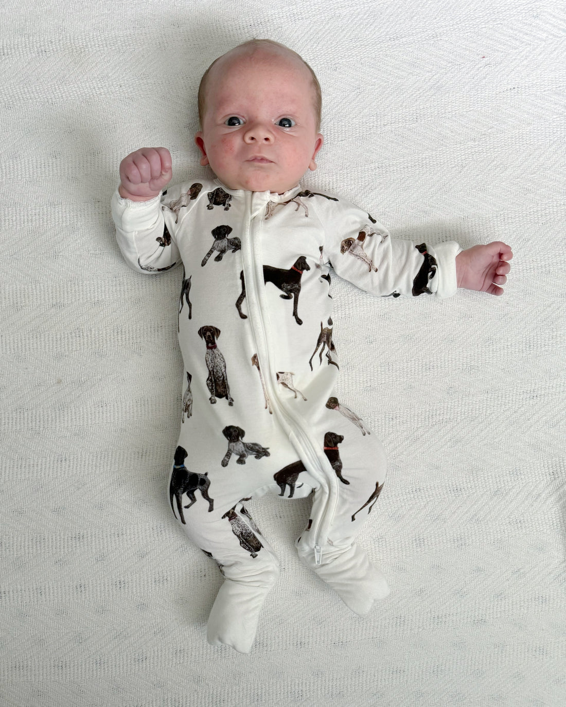 A baby lying, wearing a bamboo zip footie with a pattern of German Shorthaired Pointers.