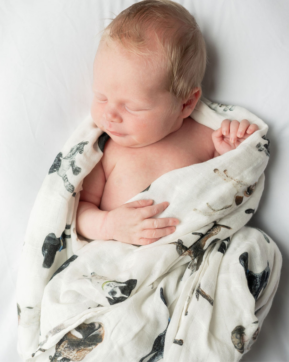 Comfy and breathable swaddle with German Shorthaired Pointer pattern for baby’s early days