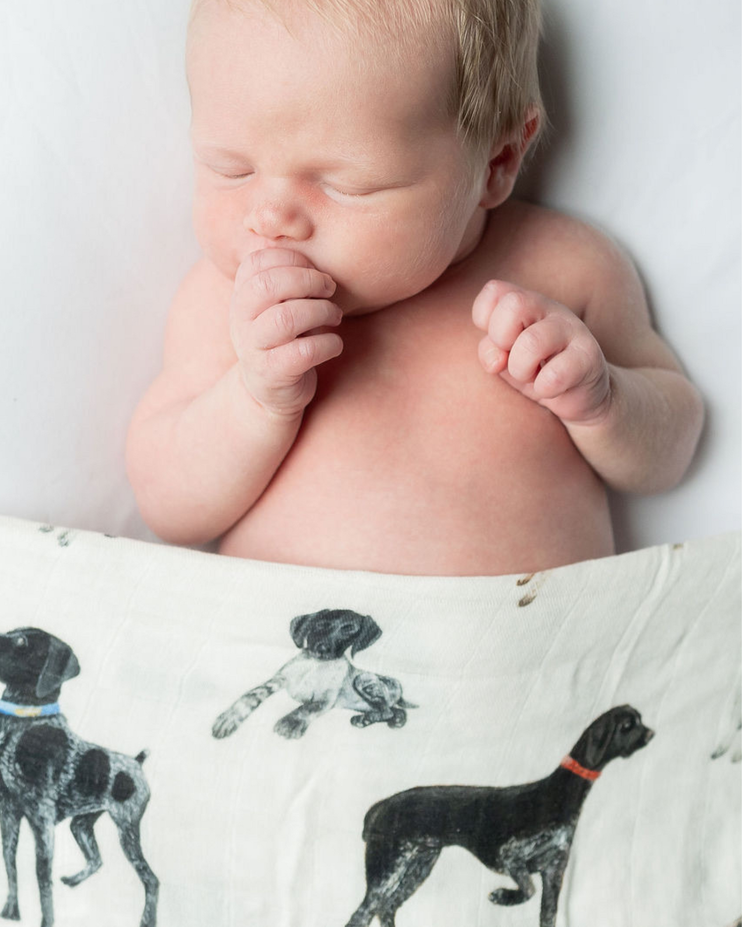 Comfy and breathable swaddle with German Shorthaired Pointer printed on soft white fabric, good for baby’s early days