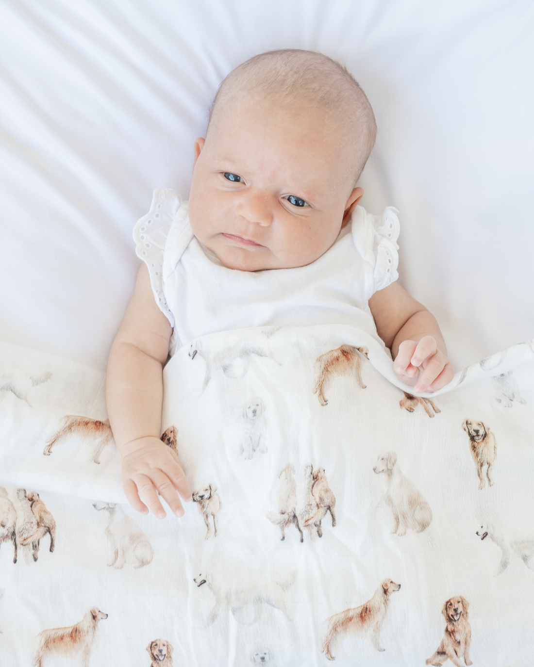 Golden Retriever print baby swaddle in organic cotton and bamboo blend