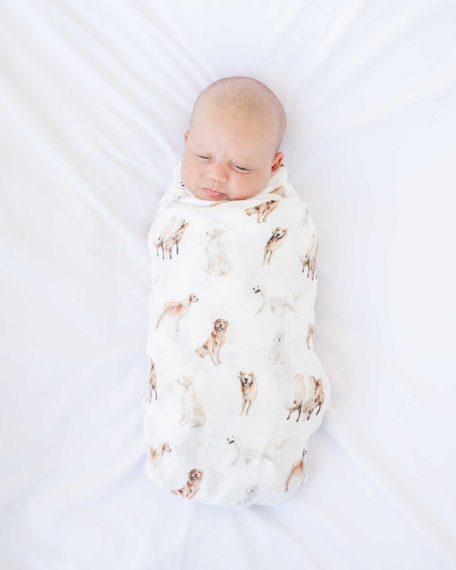 Golden Retriever print baby swaddle in organic cotton and bamboo blend
