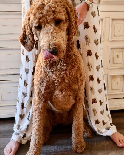 Soft white adult pajama pants featuring an all-over realistic goldendoodle pattern with an elastic waistband and white drawstring tie and with the Goldendoodle best friend.
