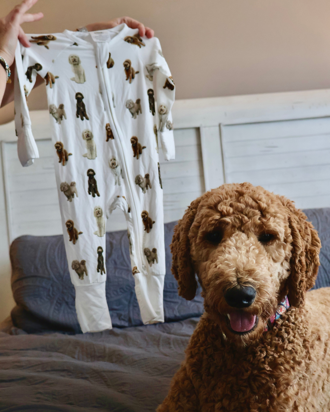 A long-sleeve goldendoodle pattern convertible zip footies, a baby romper with two-way zipper and convertible fold-over feet. 