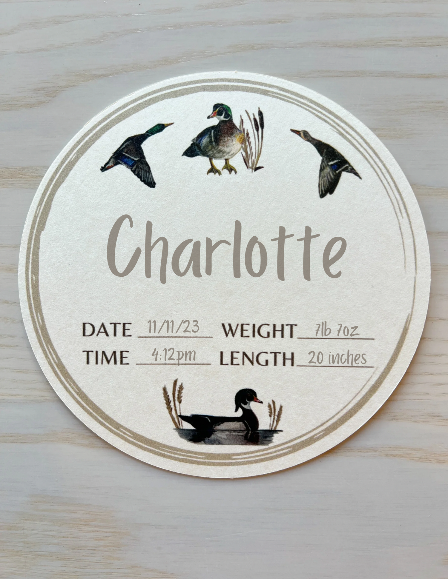 Baby Milestone Cards Featuring Adorable Duck Illustrations