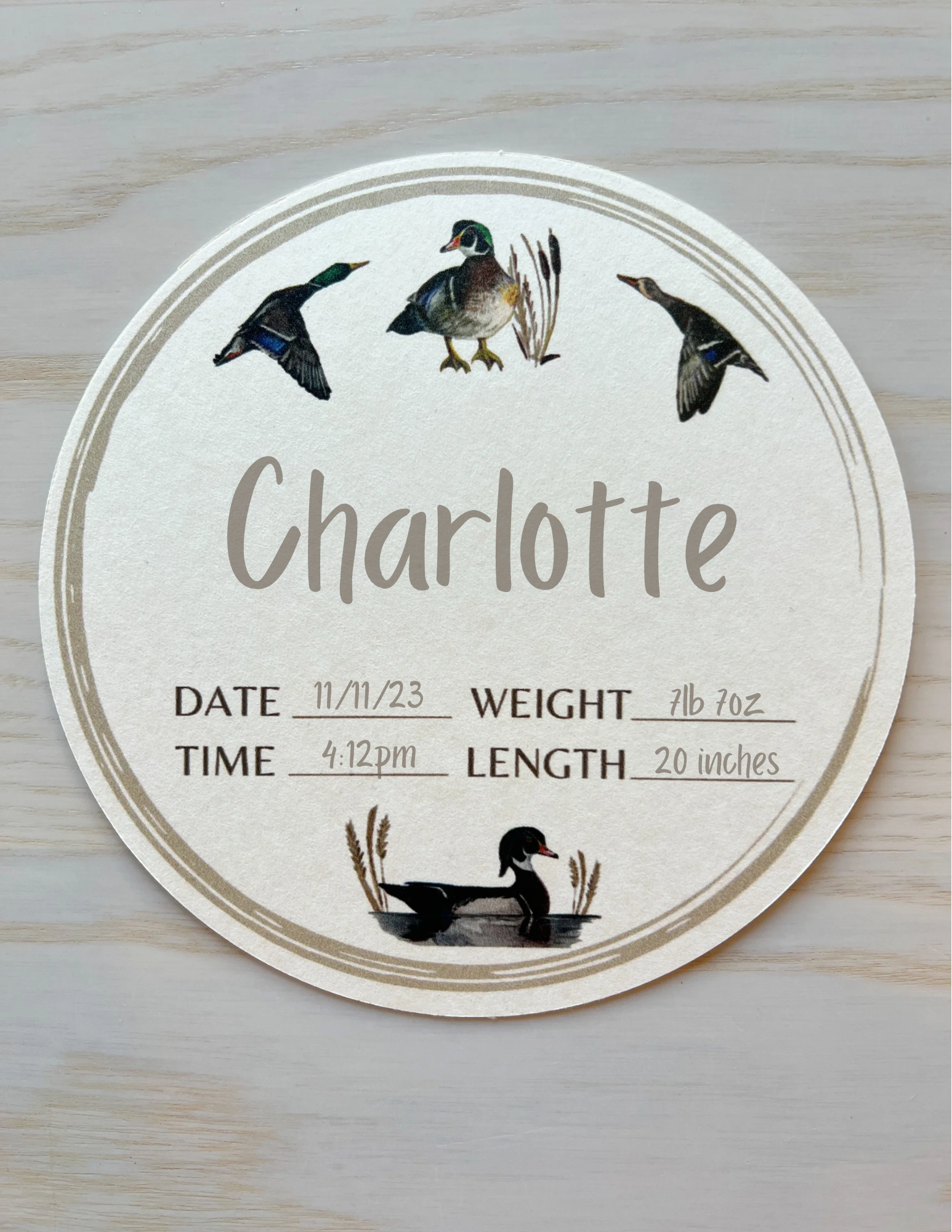 Baby Milestone Cards Featuring Adorable Duck Illustrations
