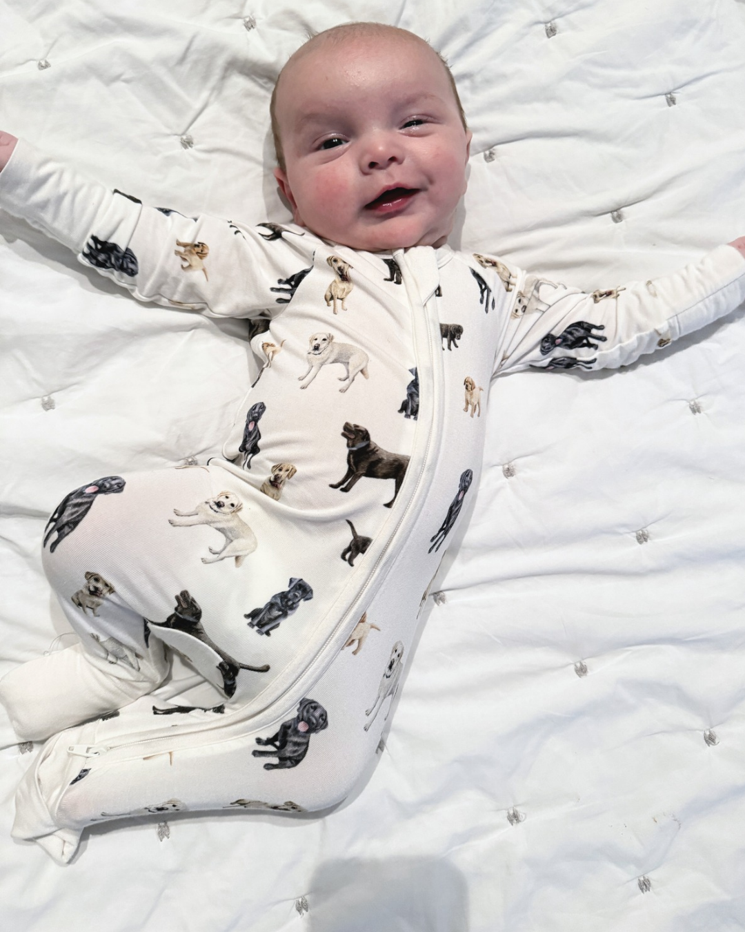 Baby wearing Loyal Labs Convertible Zip Footies featuring chocolate, yellow, and black Labrador retrievers in an adorable all-over print on soft white fabric, paired with a matching Loyal Labs patterned crib sheet.