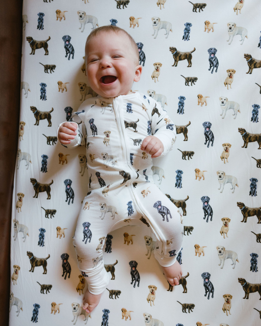 Baby wearing Loyal Labs Convertible Zip Footies featuring chocolate, yellow, and black Labrador retrievers in an adorable all-over print on soft white fabric, paired with a matching Loyal Labs patterned crib sheet.
