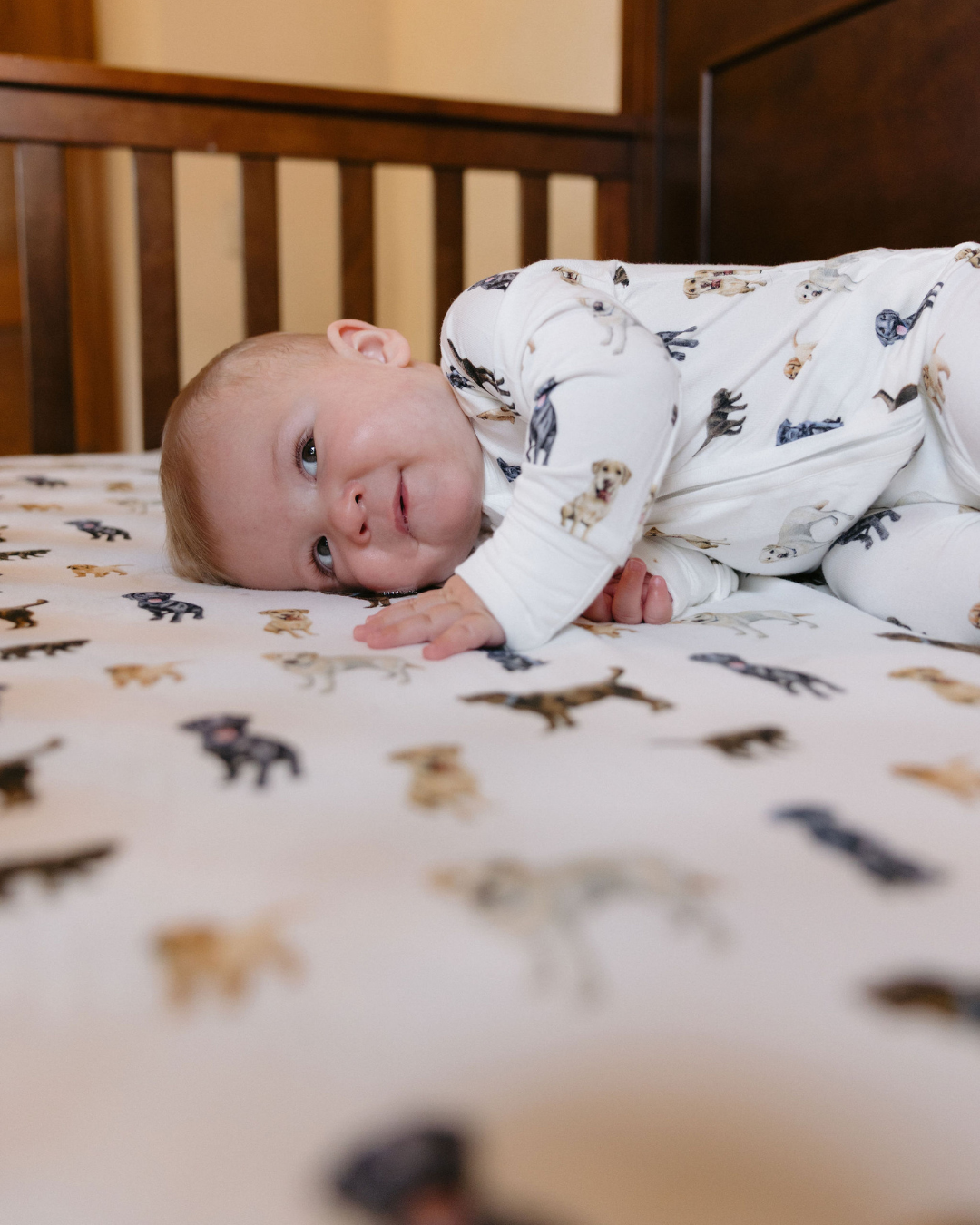 Baby enjoying a cozy moment on a soft white Loyal Labs printed crib sheet featuring an adorable all-over pattern of chocolate, yellow, and black Labrador retrievers.