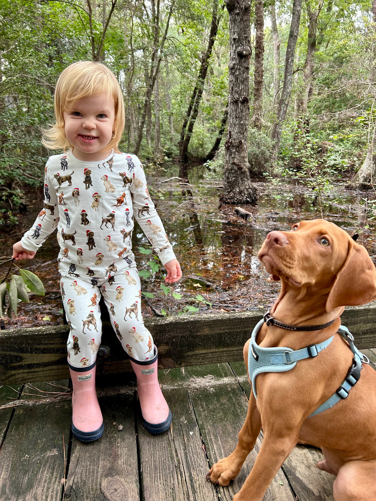 Santa Dogs Kids Pajamas with Vizsla