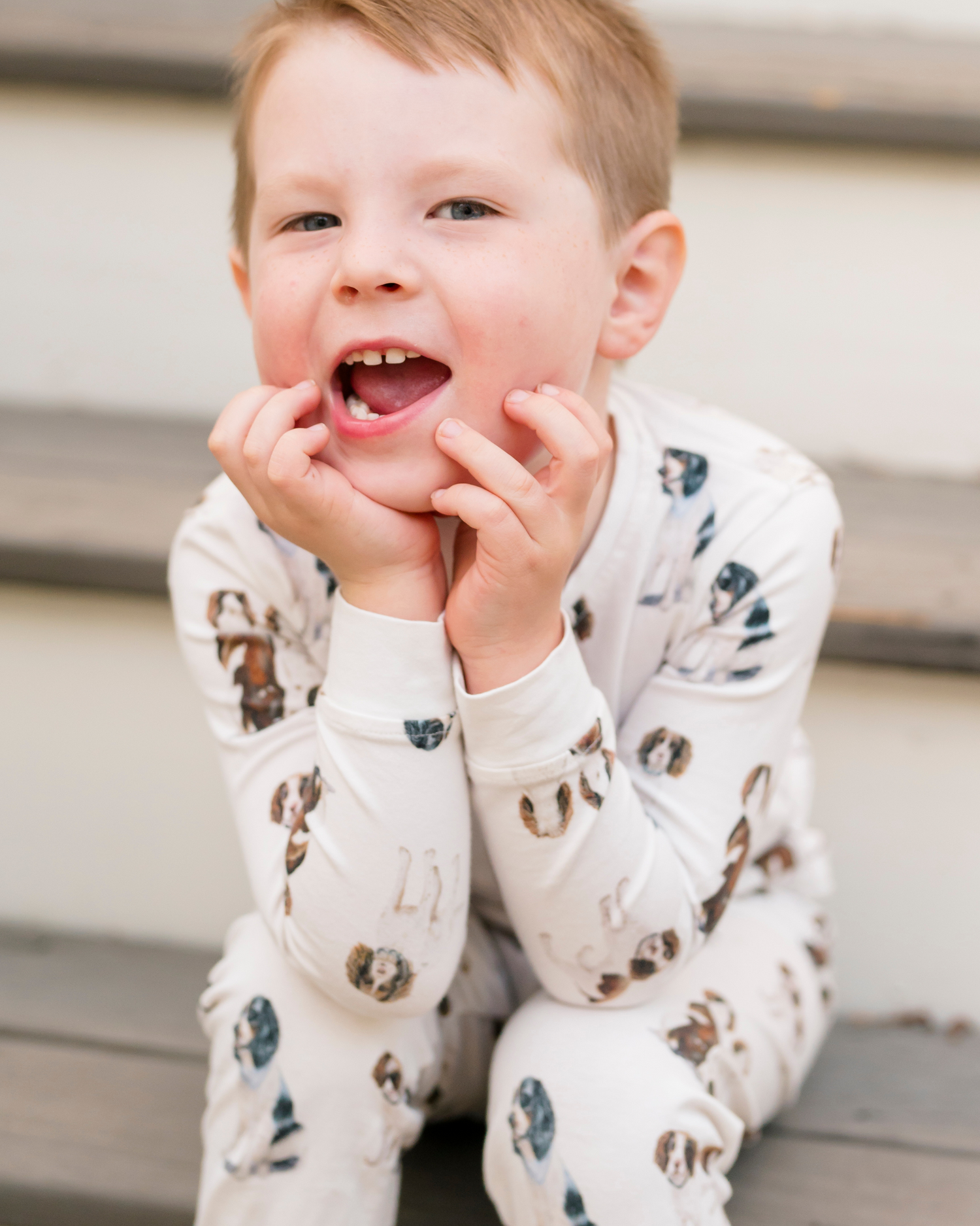 Springer Spaniel kids&