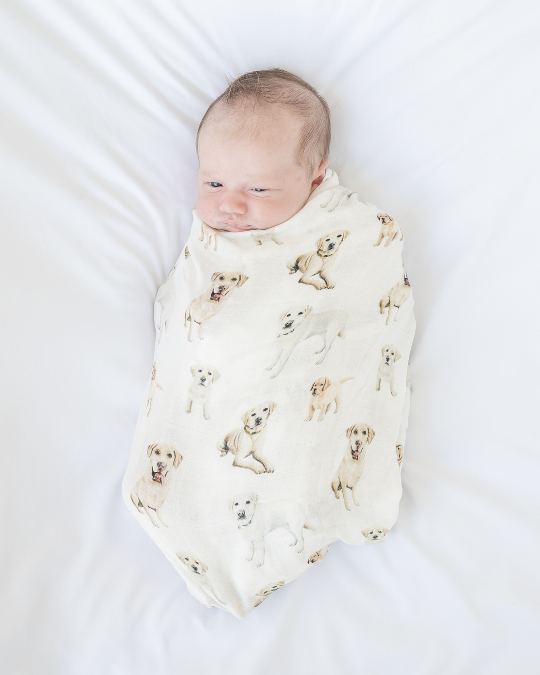 Yellow Labrador print baby swaddle soft and cozy nursery blanket