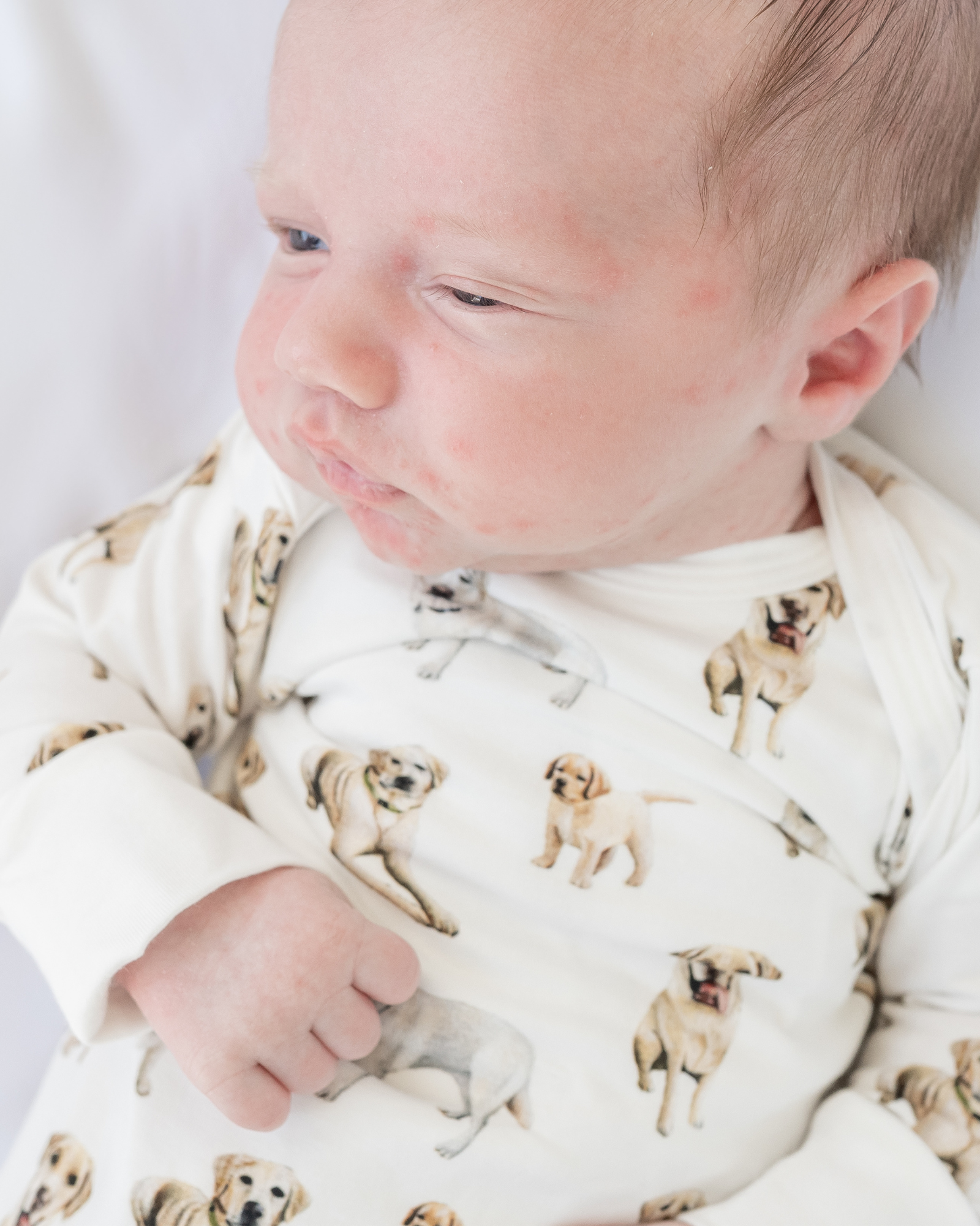 Yellow Labrador Print Newborn Outfit &amp; Hat – Soft, Comfy, and Perfect for Your Baby