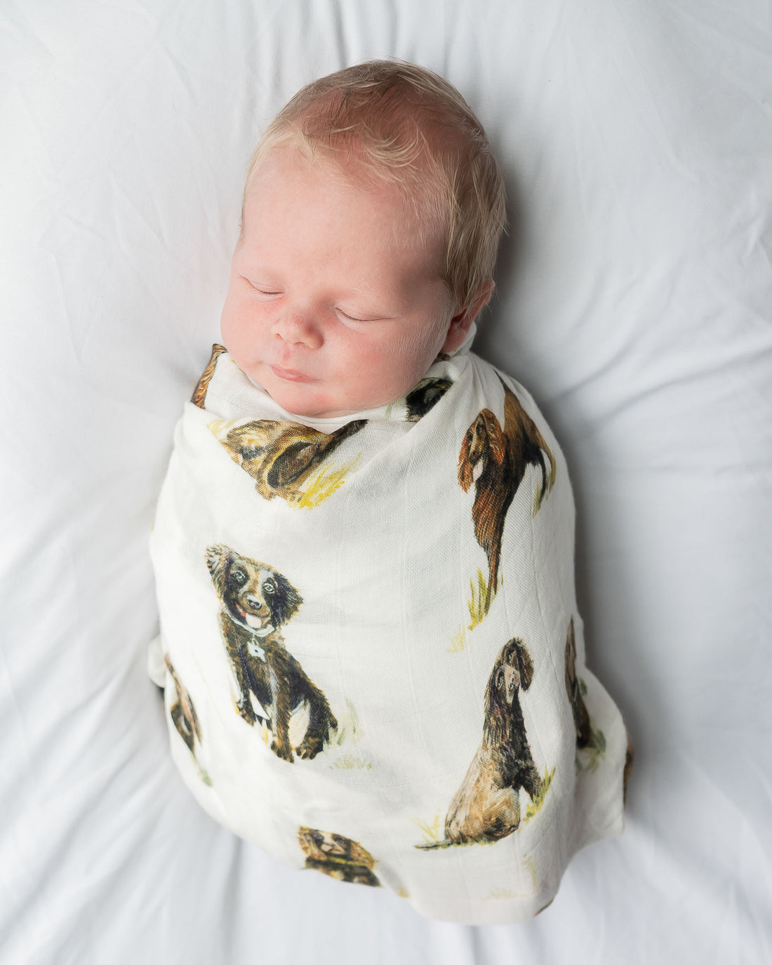 Soft baby swaddle made from organic cotton and bamboo featuring adorable Boykin Spaniel print