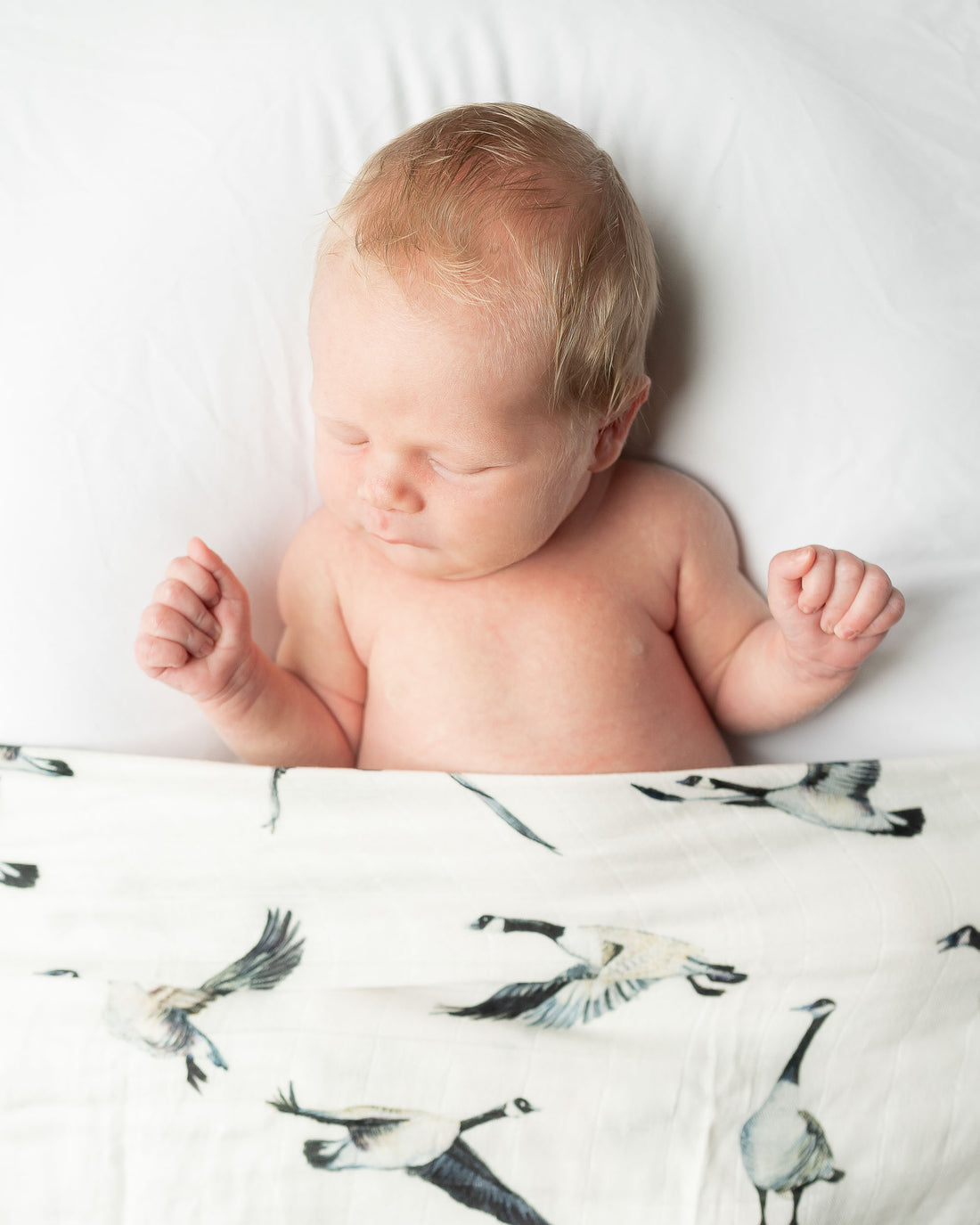 Canada Goose - Swaddle