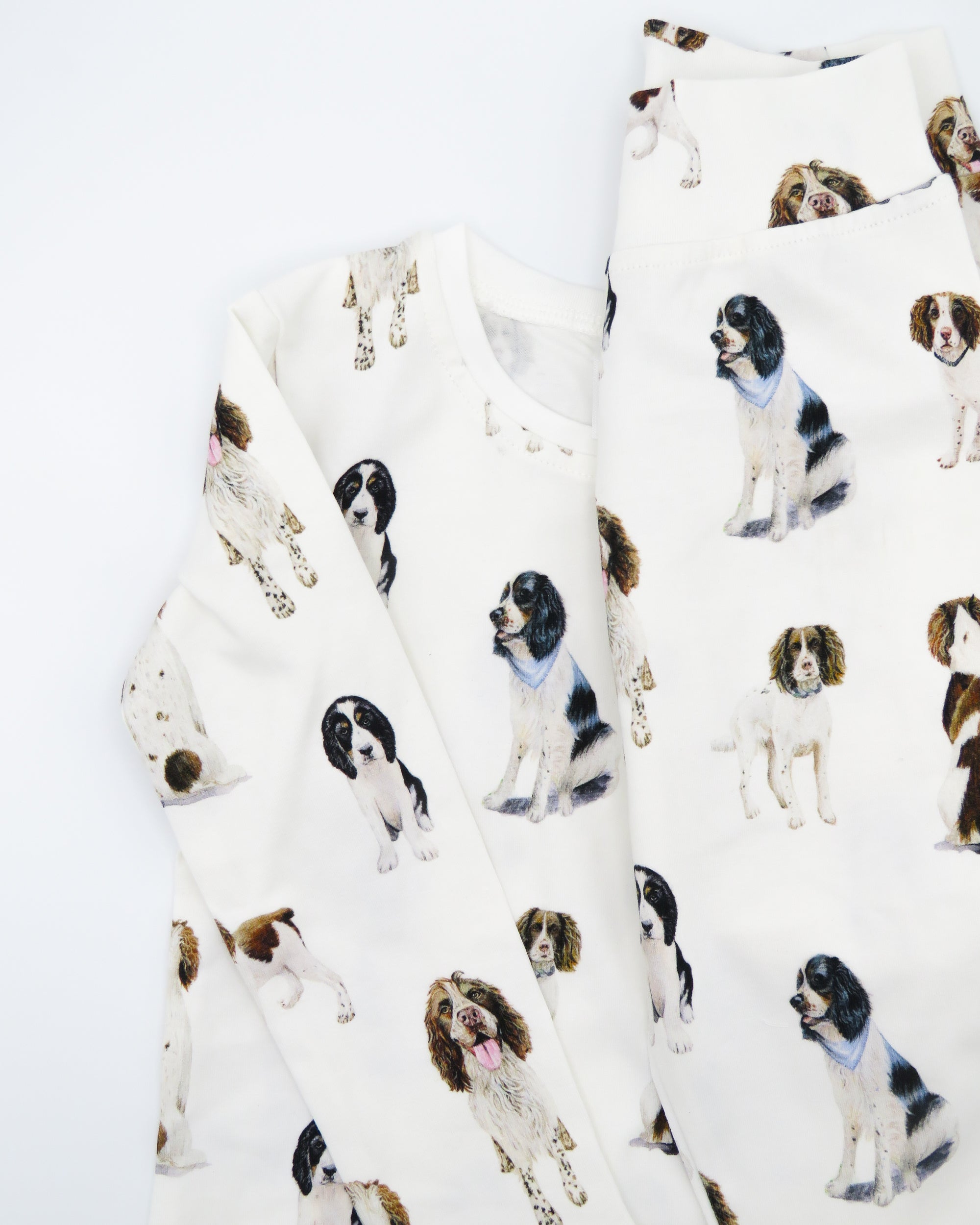 Springer Spaniel kids&