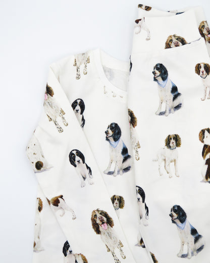 Springer Spaniel kids&