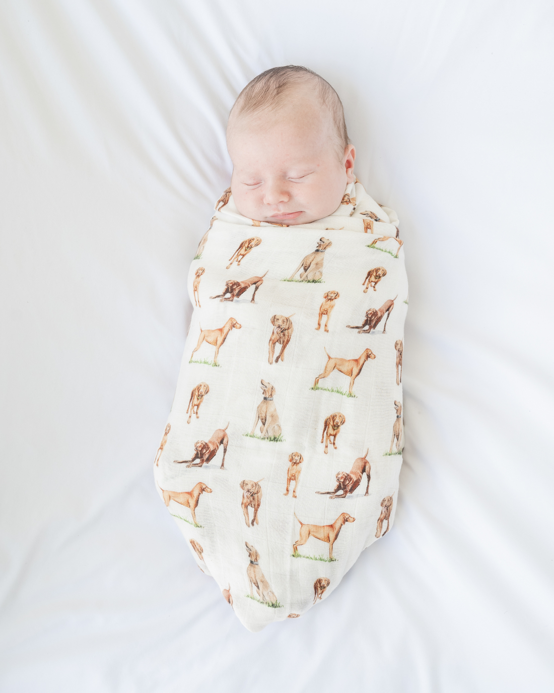 Vizsla print baby swaddle blanket. Gender-neutral dog-themed swaddle for newborns