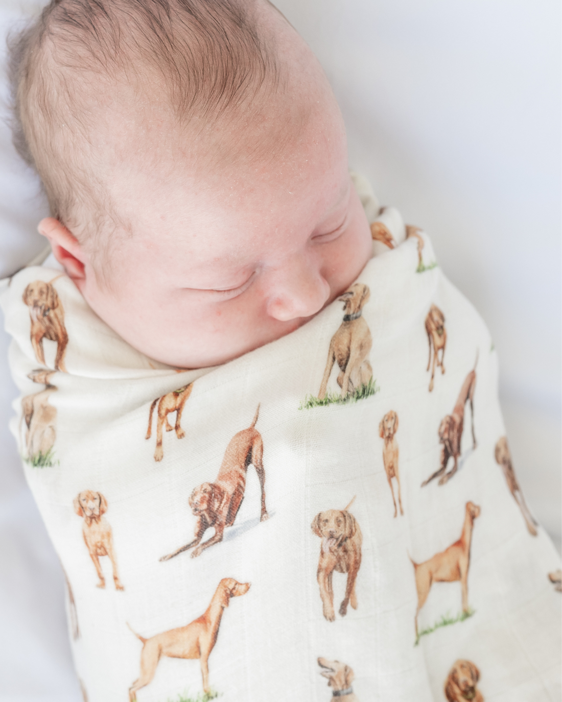 Vizsla print baby swaddle blanket. Gender-neutral dog-themed swaddle for newborns