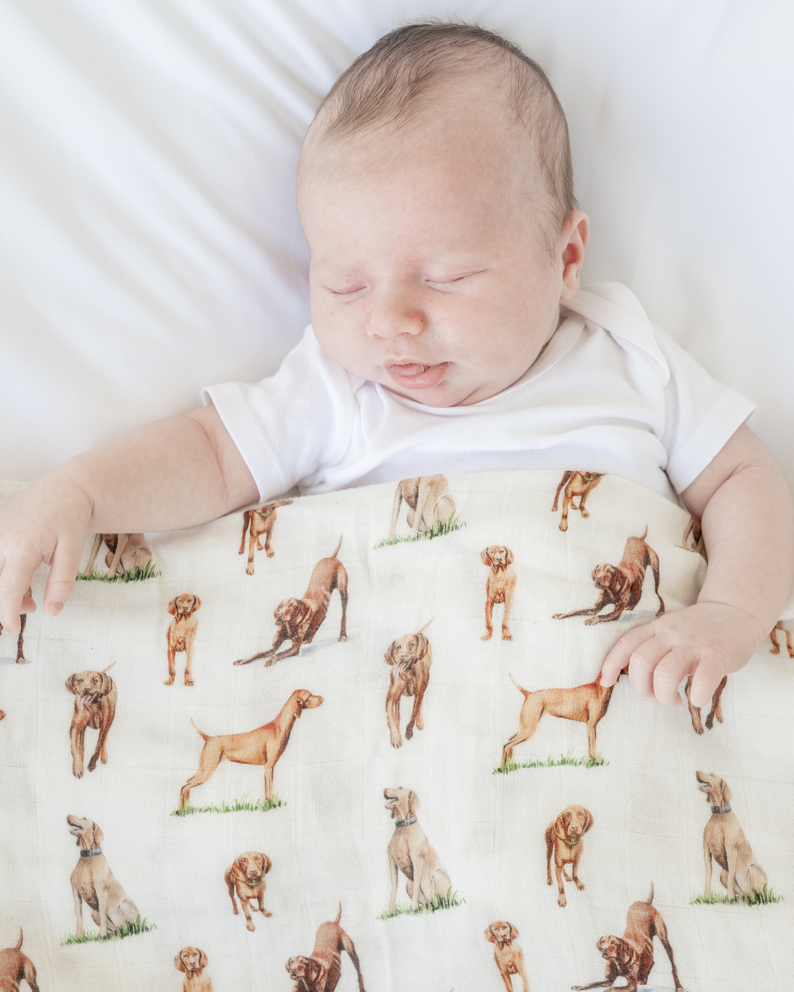 Vizsla print baby swaddle blanket. Gender-neutral dog-themed swaddle for newborns