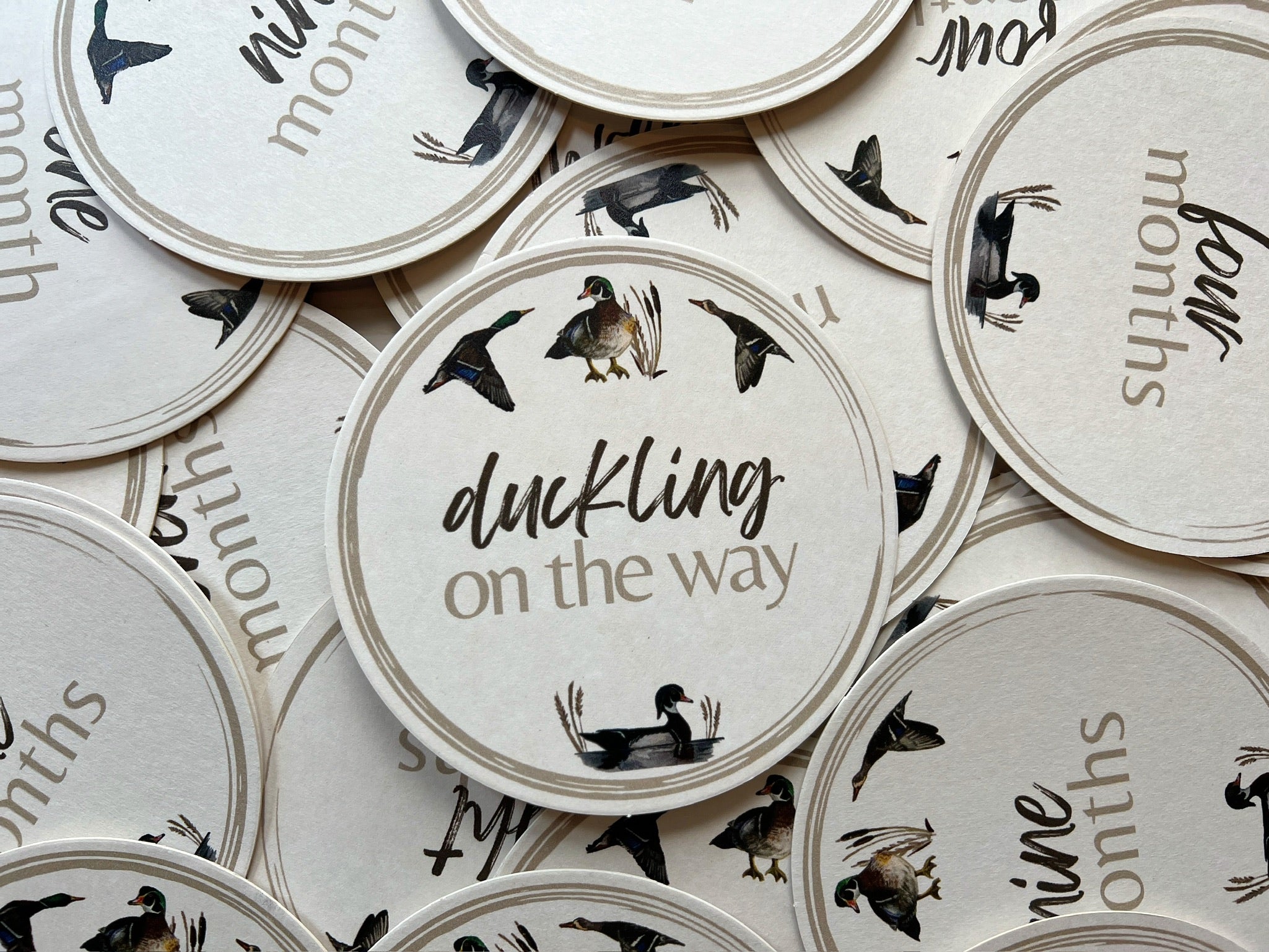 Baby Milestone Cards Featuring Adorable Duck Illustrations