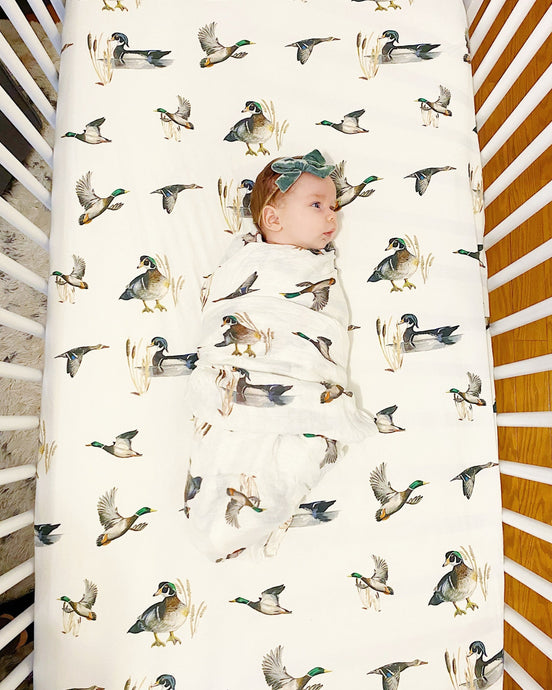 Crib Sheet: Diving Ducks