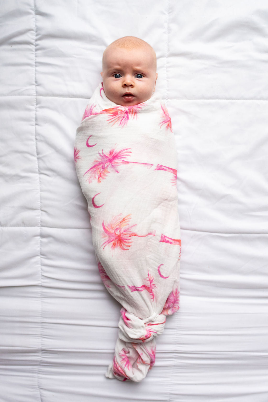 Pink Palmettos - Swaddle