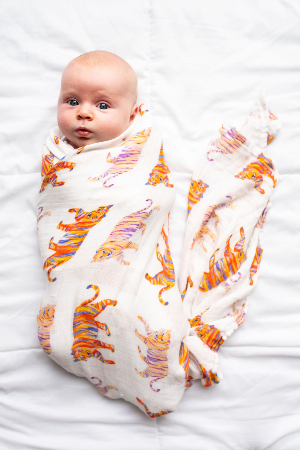 Easy Tiger Swaddle